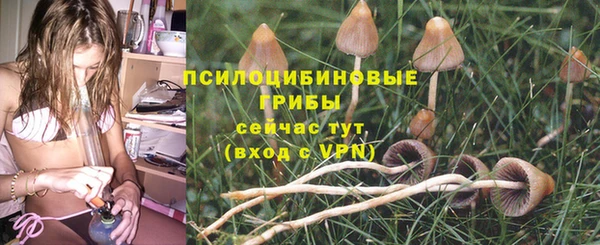 MESCALINE Переславль-Залесский