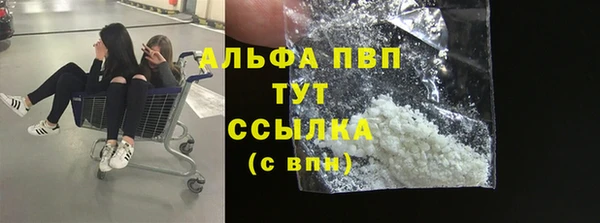 прущие крисы Пересвет