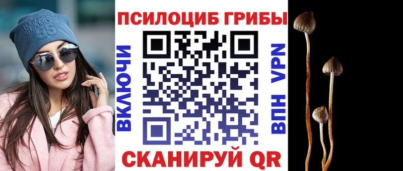 Галлюциногенные грибы прущие грибы  Сысерть 