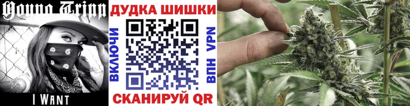 маркетплейс наркотические препараты  MEGA ссылка  Сысерть  где купить   Шишки марихуана OG Kush 